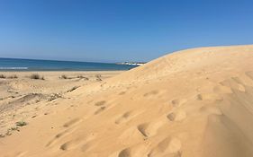 Ificumori, Campagna Ammare