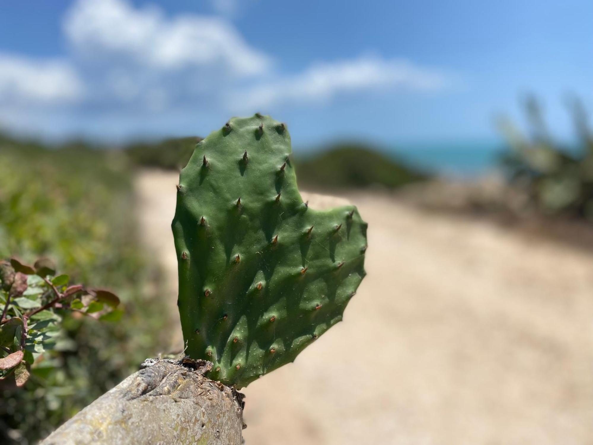 Villa Ificumori, Campagna Ammare Marina di Modica Esterno foto