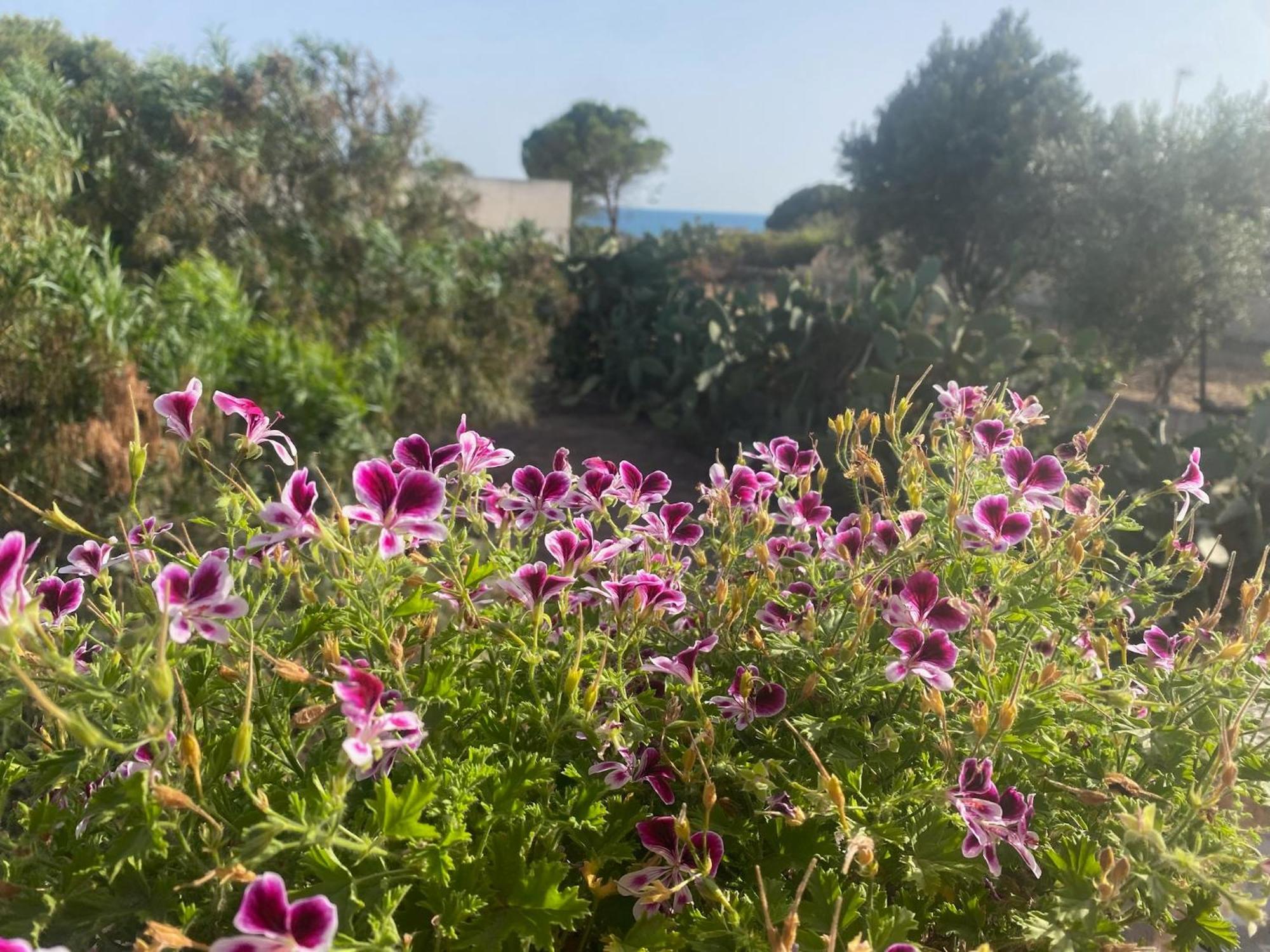 Villa Ificumori, Campagna Ammare Marina di Modica Esterno foto