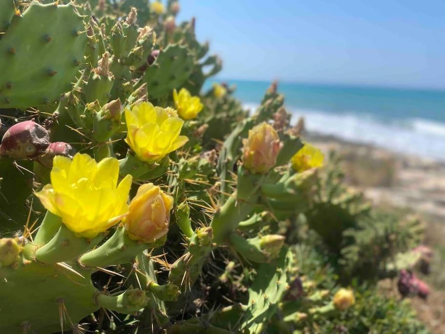 Villa Ificumori, Campagna Ammare Marina di Modica Esterno foto