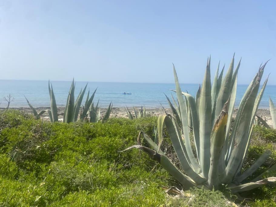 Villa Ificumori, Campagna Ammare Marina di Modica Esterno foto
