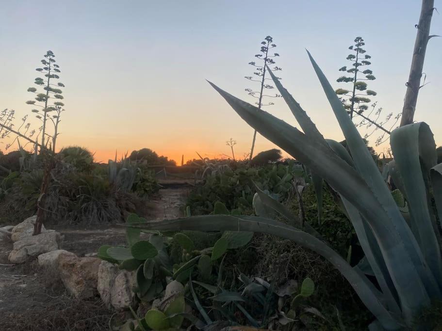 Villa Ificumori, Campagna Ammare Marina di Modica Esterno foto