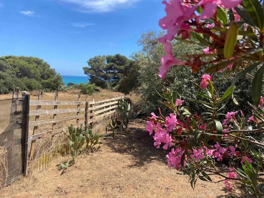 Villa Ificumori, Campagna Ammare Marina di Modica Esterno foto