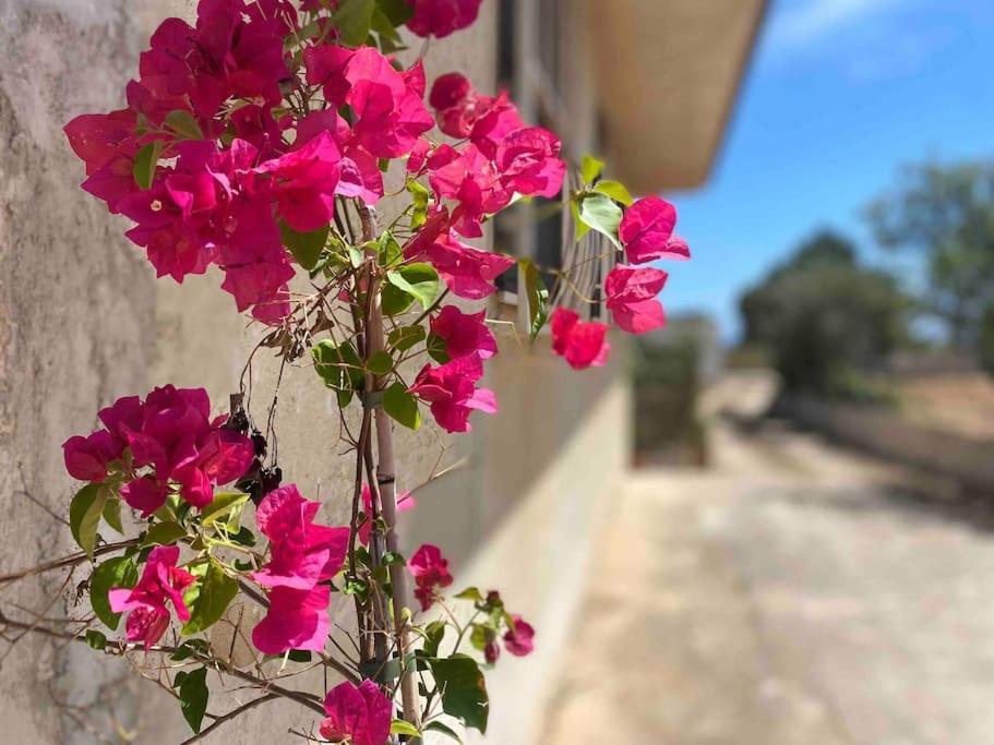 Villa Ificumori, Campagna Ammare Marina di Modica Esterno foto