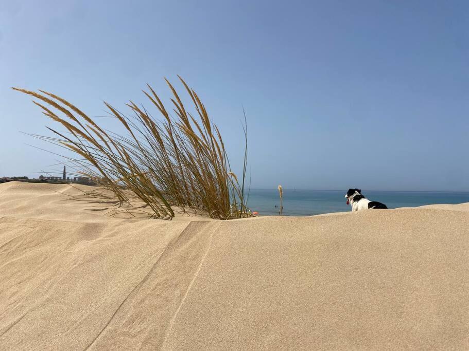 Villa Ificumori, Campagna Ammare Marina di Modica Esterno foto