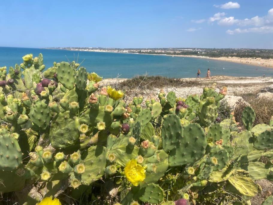 Villa Ificumori, Campagna Ammare Marina di Modica Esterno foto