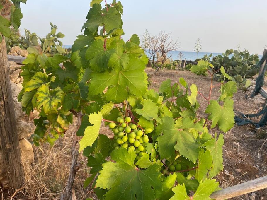 Villa Ificumori, Campagna Ammare Marina di Modica Esterno foto