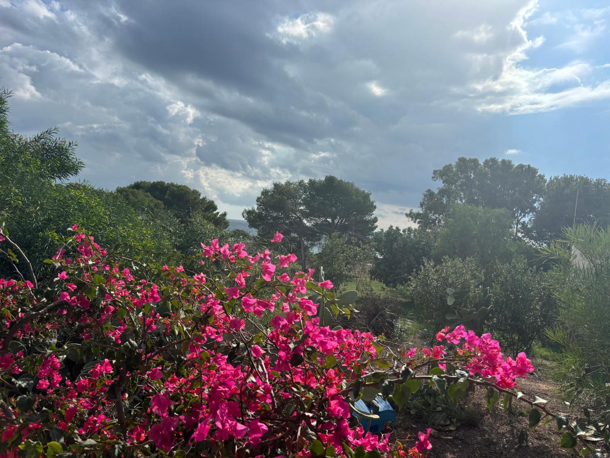 Villa Ificumori, Campagna Ammare Marina di Modica Esterno foto